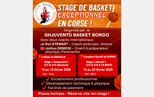 STAGE DE BASKET